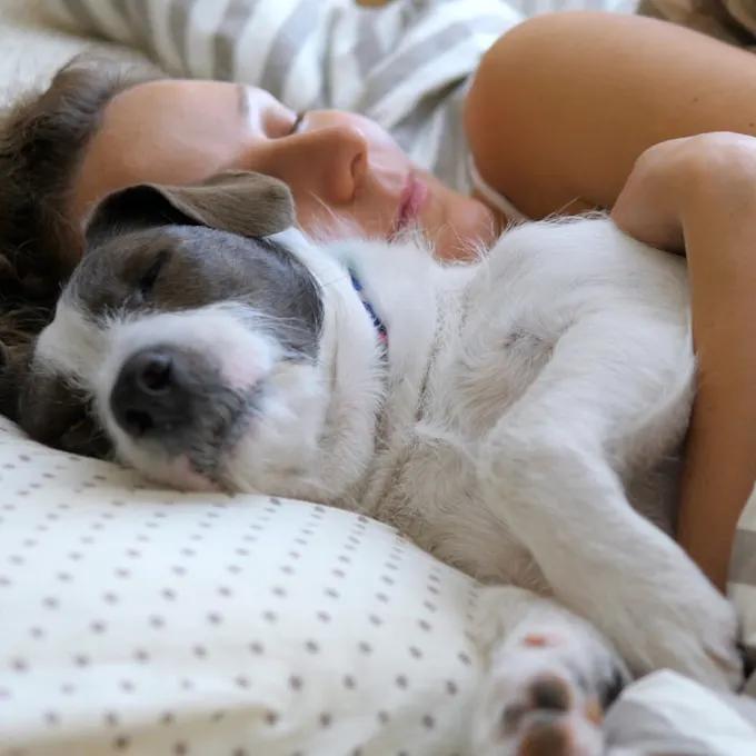 mi perro duerme en la cocina - Cómo eligen los perros donde dormir